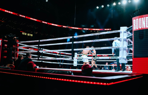 Expect extreme prices to watch Jake Paul vs. Julio Cesar Chavez Jr. fight