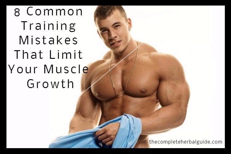 The Best Strength Training To Build Muscle At Home Workouts