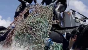Divers Clean Up Nearly 100,000 Pounds of ‘Ghost Nets’ From the Waters Surrounding Hawaii