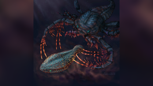 Animals: Our teeth evolved from fish 'body armor' over 460 million years