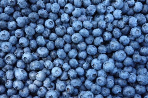 What Blueberries Do to Your Body