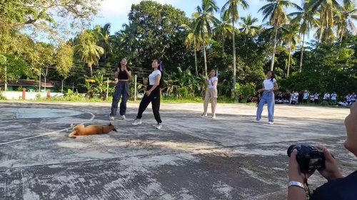 Philippines: Stray dog photobombs girls as they record dance video