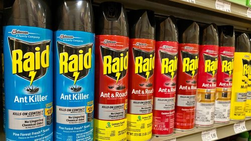 Why You Should Stop Using Raid Spray Immediately