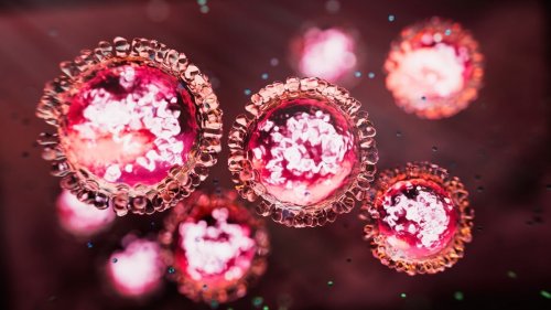 Health: US measles outbreak tops 600 cases — what to know about the disease
