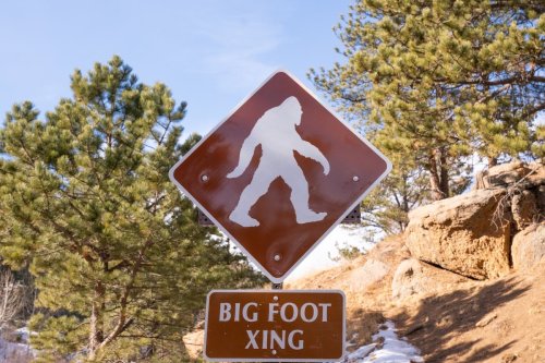 Was Bigfoot actually caught in Colorado (for real this time)?