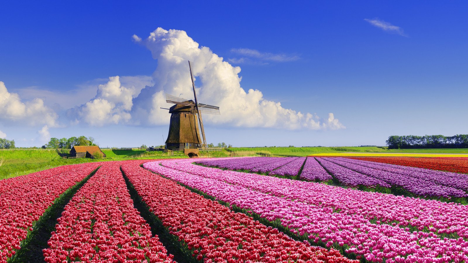 The Safest Countries In The World To Visit In 2026