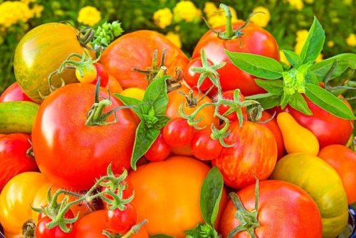 Genius Ways to Use Up Extra Tomatoes and Veggies