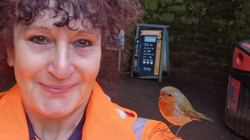 Woman befriends a family of robins who now land on her head and sing to her