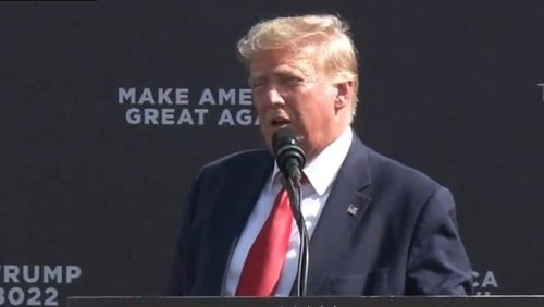 Trump bizarrely claims windmills are driving whales ‘crazy’ in South Carolina speech
