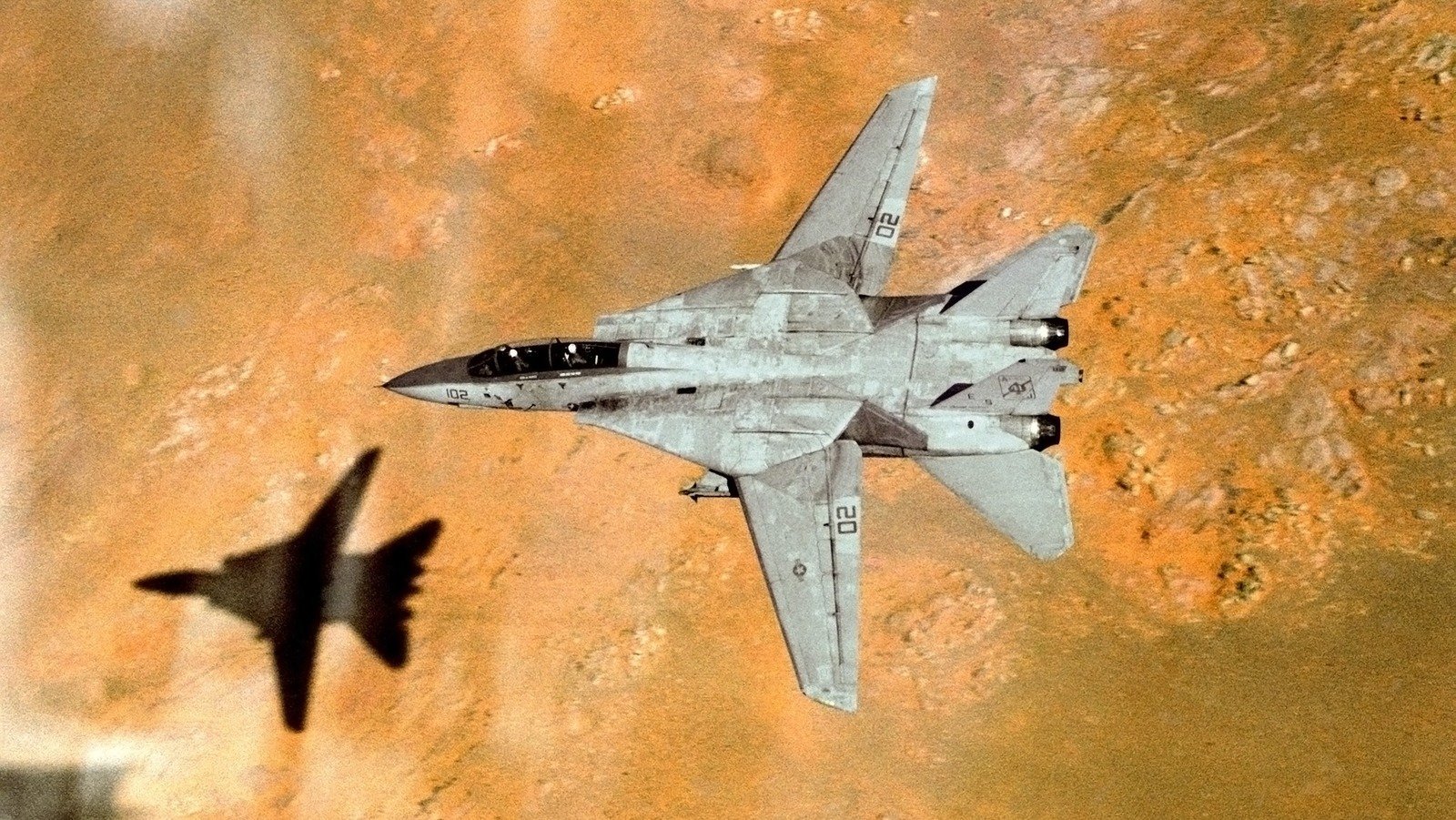 Why So Many F-14 Tomcat Jets Were Destroyed By The Defense Department  