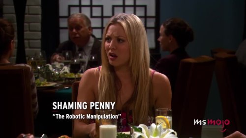 Top 10 Most Unforgivable Big Bang Theory Moments Flipboard