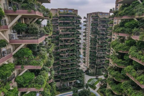 Vertical forest housing project in China is overrun by mosquitoes