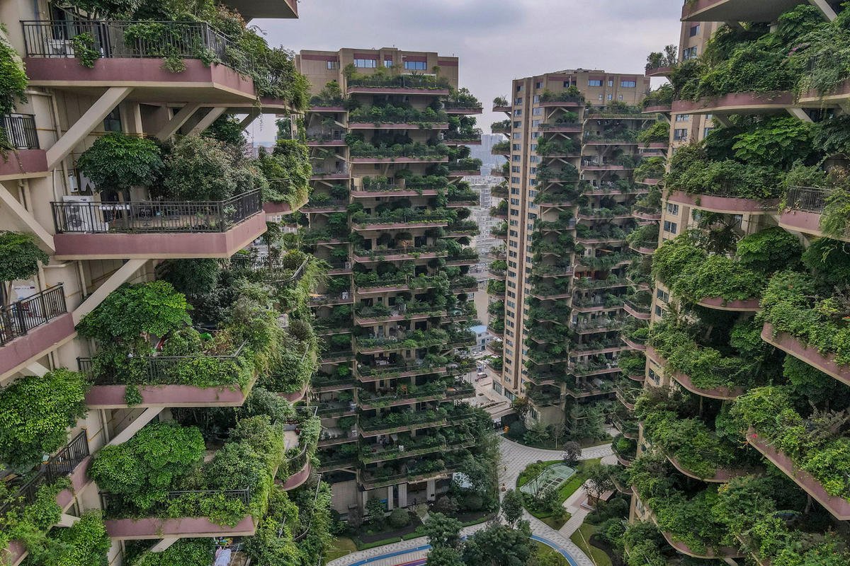 Vertical forest housing project in China is overrun by mosquitoes