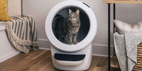 These 10 Futuristic Products Are Perfect for Tech-Savvy Pet Parents