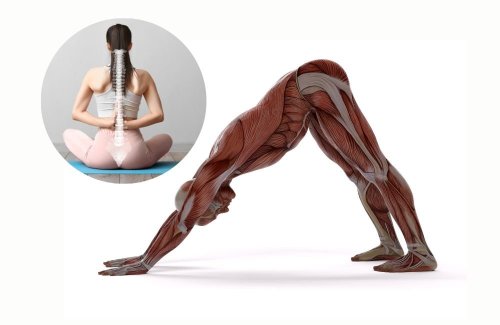 5 Simple Stretches You Should Do Daily To Bulletproof Your Spine