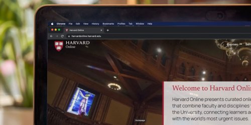 Top 10 Harvard Courses Available Online for Free