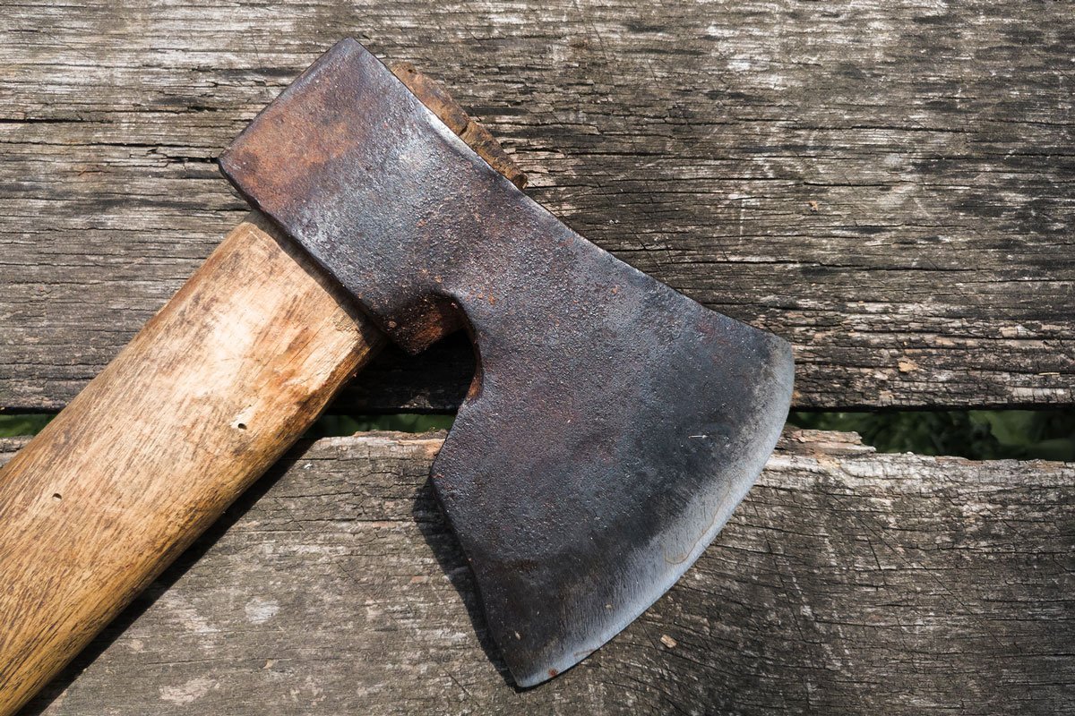 This could be the best wilderness survival tool