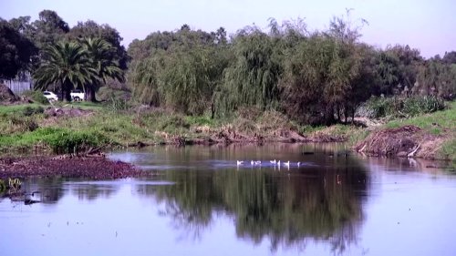 Amazon's Africa HQ plan angers indigenous peoples