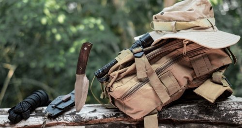 Don't fall for these survival myths that could be deadly in the wild