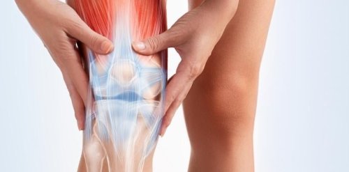 Bulletproof Your Knees: 5 Exercises for Unshakable Joint Strength