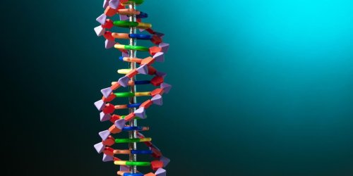 How Do Genes Affect Your Health?