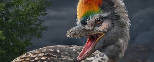 Magazine - Paleontology
