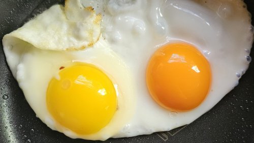 The Difference Between Orange & Yellow Egg Yolks Is Easily Explained By Science