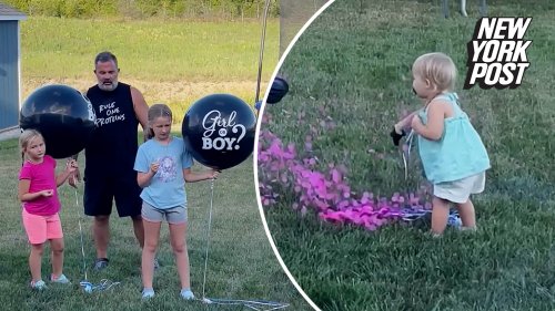 Toddler ruins gender reveal — it's girl no. 4 for this dad