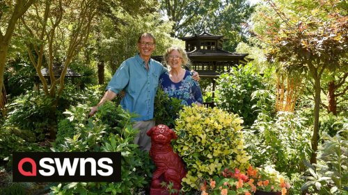 Couple with UK's best garden share tips to help keep gardens alive as hosepipe ban looms