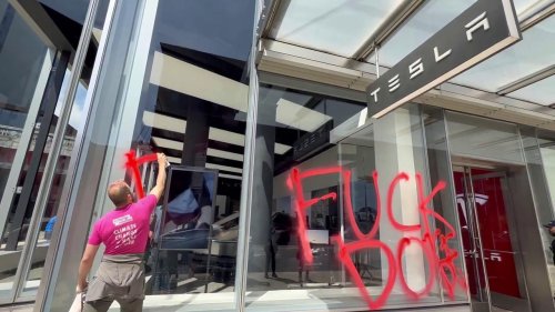 US: Extinction Rebellion Vandalizes Tesla Offices In New York During Protest