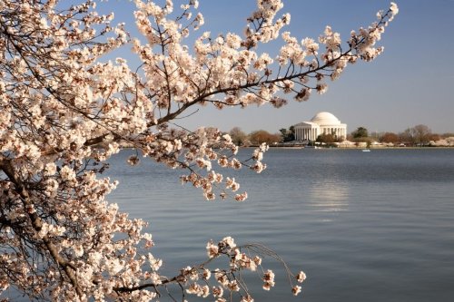 58 Awesome Things to do in washington dc