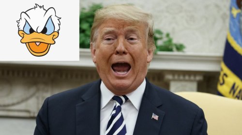 Trump cover image