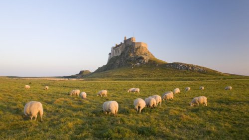 Magazine - NORTHUMBERLAND