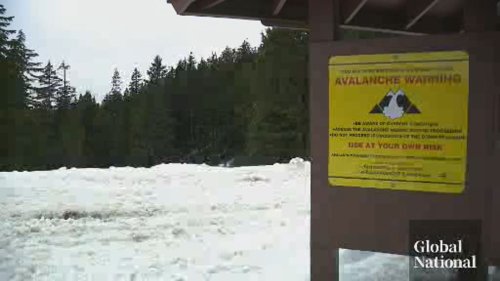 Avalanche risk in B.C., Alberta mountains at 20-year high