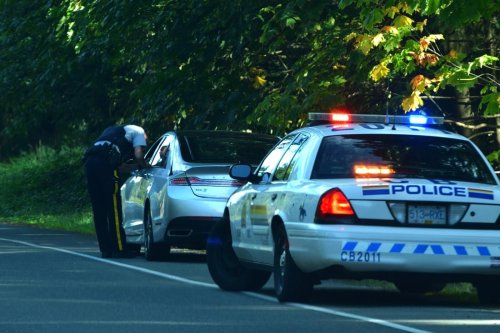 What really happens if you refuse to hand over a gun in your car to police