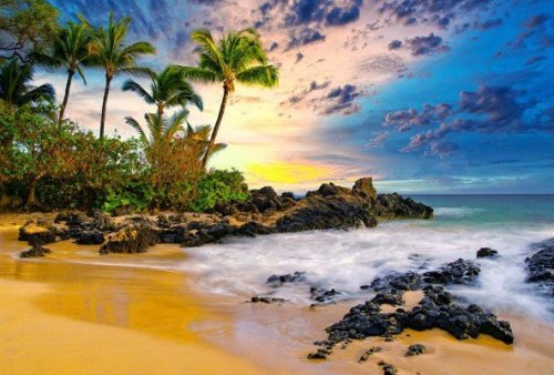 Fun Facts About Hawaii You Probably Didn’t Know