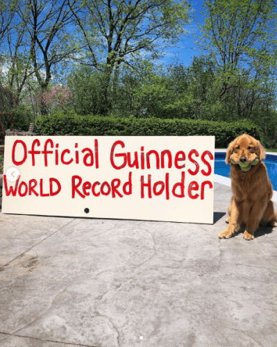 21 Animals Holding Guinness World Records