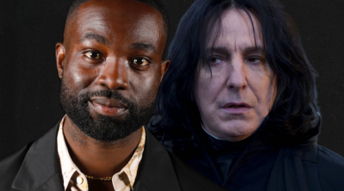 Professors Snape and McGonagall have been cast for HBO's Harry Potter series