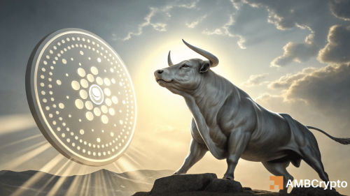 Cardano’s at War 