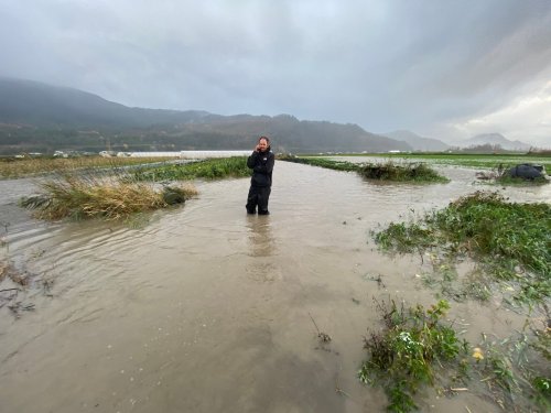 As the floodwaters rose, this simple solution kept a B.C. farmer’s fields intact