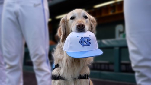 Meet Remington, the UNC Assistance Dog Helping Athletes Prioritize Mental Health