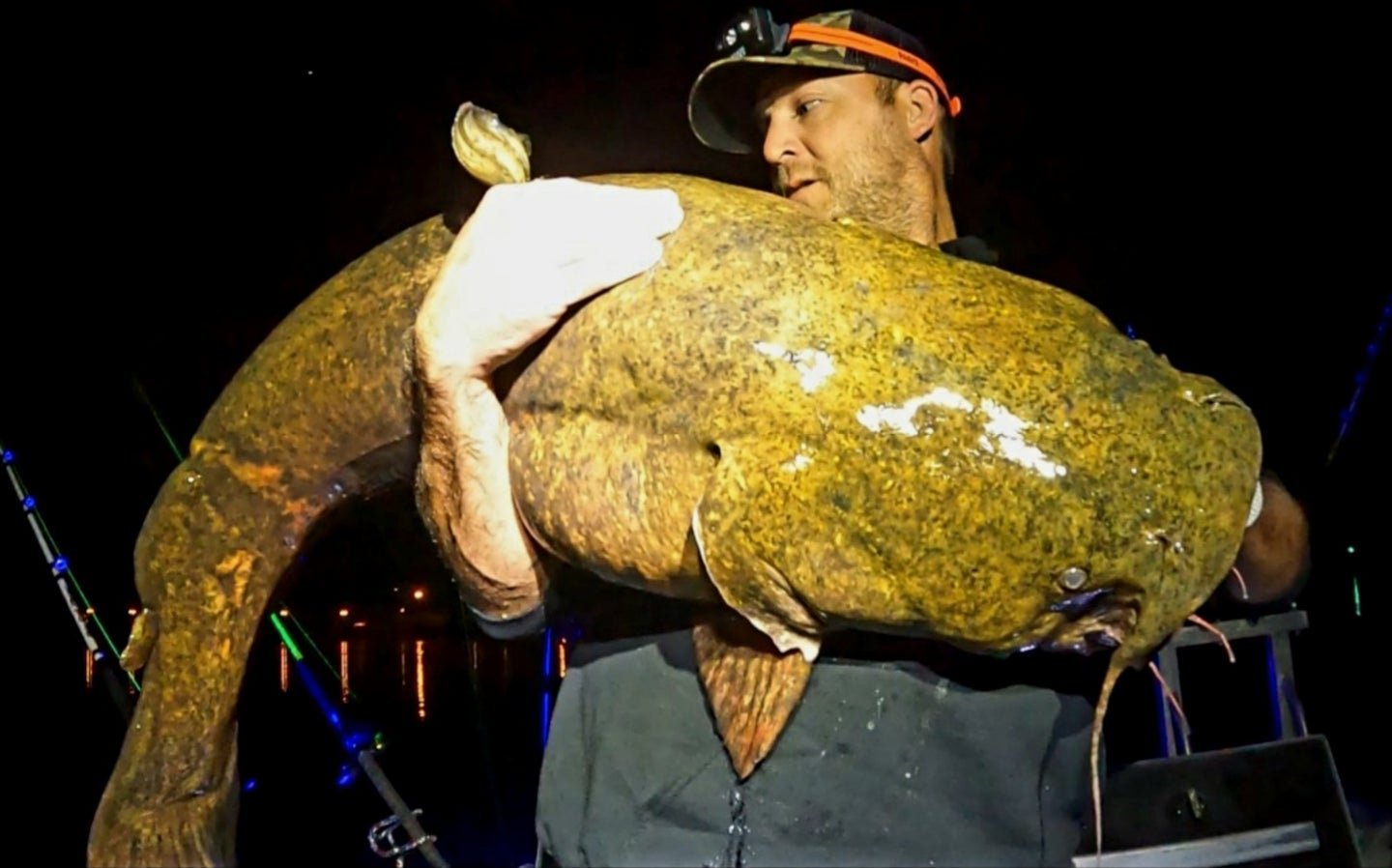 Check out this giant 'river monster' caught in West Virginia