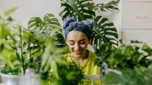 Magazine - Nachhaltigkeit & Green living