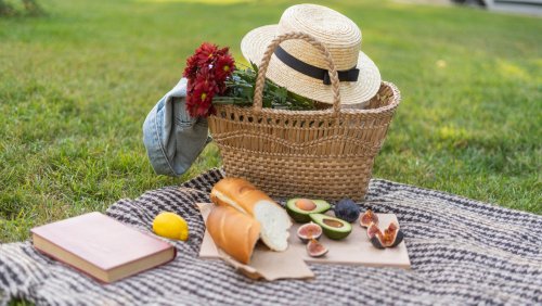 11 Best Things To Bring On A Picnic  