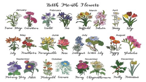 What's Your Birth Month Flower? — Plus More About Flowers