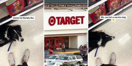 Shopper Questioned For Bringing Her Service Dog Into Target 
