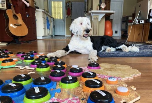 Salon's top science stories of 2021