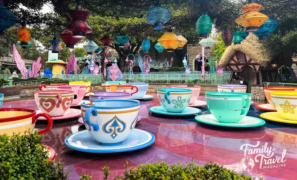 Disneyland Tips