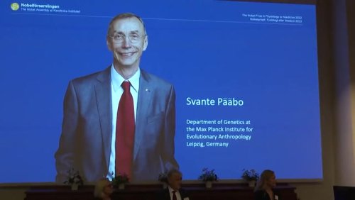Swedish scientist wins Nobel prize in medicine for human evolution discoveries