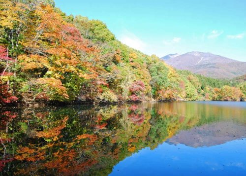 Tohoku Fall Foliage: 10 Best Places for Autumn Leaves in Miyagi and the Best Tim